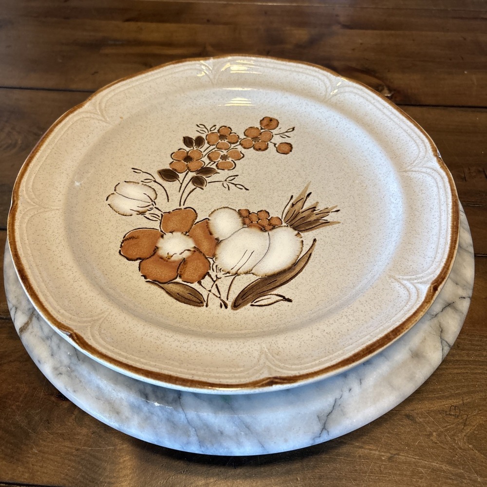 2pc VTG 70s Baroque Autumn Fair  Dinner Plate 10.5" Hearthside Stoneware Japan